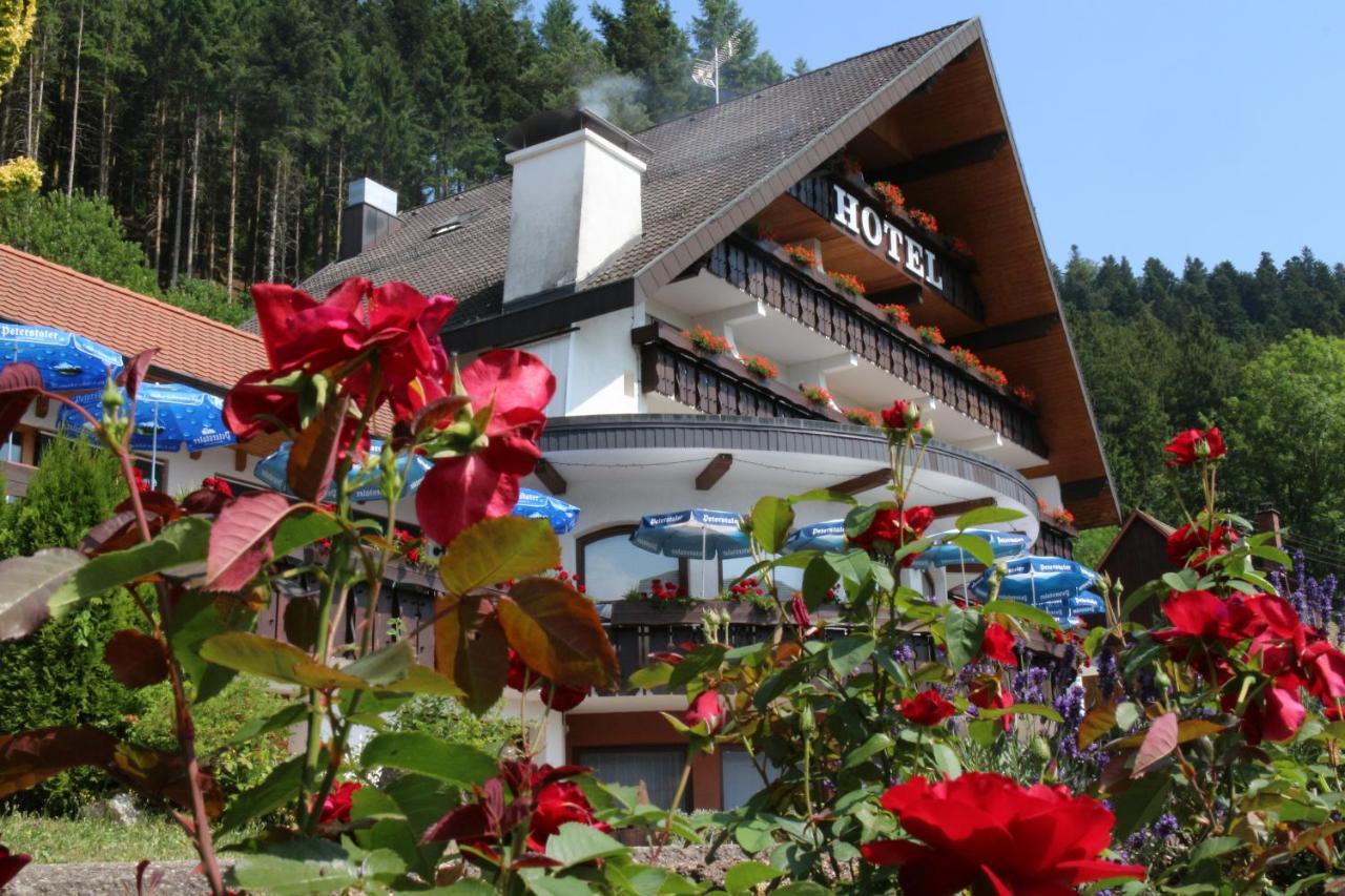 Hotel Sonnenblick Schenkenzell Ngoại thất bức ảnh